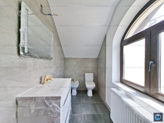 Vila cu 5 camere de vanzare in Paulestii Noi, 180 mp