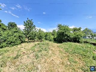 Vila cu 5 camere de vanzare in Tantareni, 200 mp