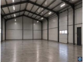 Spatiu industrial de vanzare in Pleasa, 580 mp