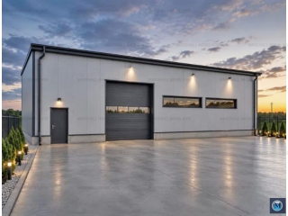 Spatiu industrial de vanzare in Pleasa, 580 mp