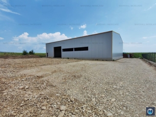 Spatiu industrial de vanzare in Pleasa, 580 mp