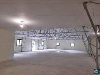 Spatiu industrial de vanzare in Brazii de Sus, 1233 mp