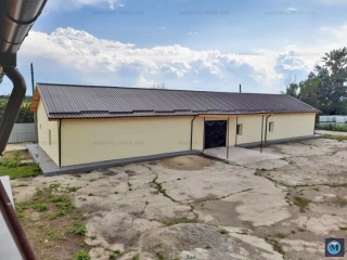 Spatiu industrial de vanzare in Brazii de Sus, 1233 mp