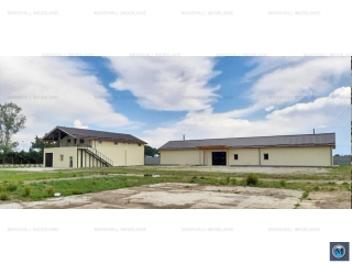 Spatiu industrial de vanzare in Brazii de Sus, 1233 mp