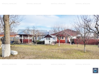 Casa cu 5 camere de vanzare in Nevesteasca, 42.5 mp