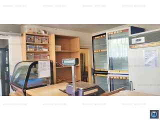 Casa cu 5 camere de vanzare in Nevesteasca, 42.5 mp
