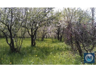 Teren intravilan de vanzare in Banesti, 4000 mp