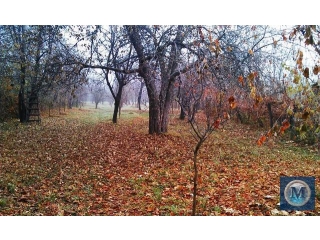 Teren intravilan de vanzare in Banesti, 4000 mp