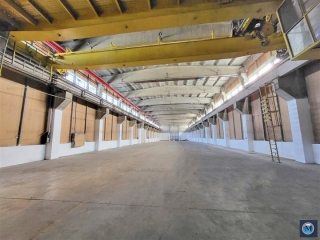 Spatiu industrial de inchiriat, zona Vest, 2900 mp