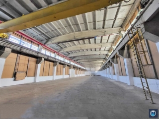 Spatiu industrial de inchiriat, zona Vest, 2900 mp