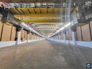 Spatiu industrial de inchiriat, zona Vest, 2900 mp