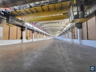 Spatiu industrial de inchiriat, zona Vest, 2900 mp