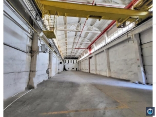 Spatiu industrial de inchiriat, zona Vest, 2900 mp