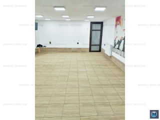 Vila cu 8 camere de vanzare, zona Ultracentral, 410 mp