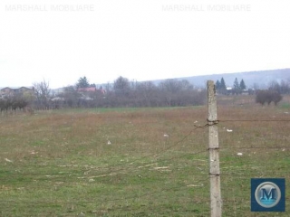 Teren intravilan de vanzare in Lipanesti, 8071 mp
