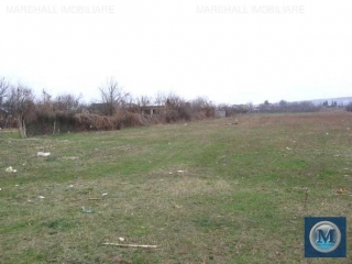 Teren intravilan de vanzare in Lipanesti, 8071 mp